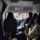 유진카월드 월산점 인근 | 호주 여행) 시드니 3일차 / 시드니에서 가장 유명한 투어 해보기 (블루마운틴 + 페더데일 동물원)