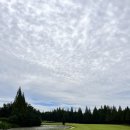 익산컨트리클럽 이미지