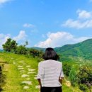 옴서감서 이미지