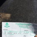 신성중고등학교 | (`15.09.08) 완타치 투어 9일차 - 태국(아유타야)