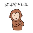 닥터미장