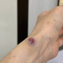 송외과의원 이미지