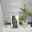 세영아쉬탕가요가 네이버블로그