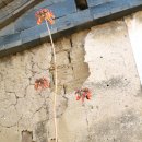 단산마을 이미지