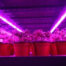 첨단농장 이미지