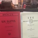 첼로(야간) 이미지