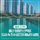 청량천 | 울산 청량천 산책로 – 도심 속 친수공간과 봄날의 설렘