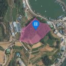 금알공인중개사사무소 이미지