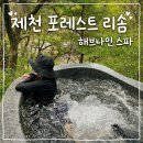 장용산노래방편의점 | 충북 가족여행 끝판왕! 🌿 포레스트 리솜 + 해브나인 스파 솔직후기 (+객실·온천·꿀팁)