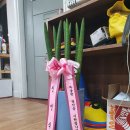 바른유도관 이미지