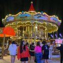 무스비브로 | [+🇦🇺✨] Sydney Easter Show /시드니 이스터 쇼/ 시드니 부활절