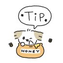 익스플레이