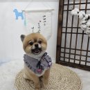 지개동산 이미지