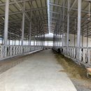 밀키웨이목장 이미지