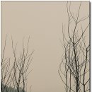 금산-05 이미지