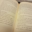 스테이모모