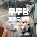 제주바개트 이미지