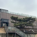 카페 제이콥 | 파주 헤이리 전망 좋은 뷰맛집 예쁜 카페 | 제이콥 헤이리점