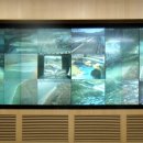 하천감시 CCTV 이미지