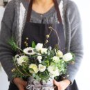 여주-0704 이미지