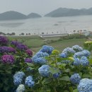 카페그로브