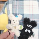 목천고등학교 이미지