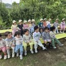 지혜농장 Daum카페
