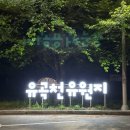 유곡천 | 의령 유곡천 유원지 : 잔디와 보도블록으로 쾌적한 무료 노지 차박 캠핑 성지!