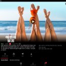 밀플랑 - 18402 | 밀플랑