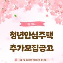 와이비스타 네이버블로그