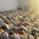 과일애과일사랑 | [제주 과일 도시락] 특별한 행사, 잊지 못할 선물! 제주산 제철 과일과 오메기떡의 향연• 🎉제주도 행사...