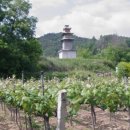 서부리 삼층석탑(西部里 三層石塔) 이미지