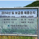 사남로 이미지