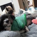 제이에스패밀리 이미지