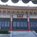 주자묘 Daum카페