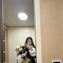 호수펫 | 내돈내산 반려견 사진 잘 찍는 곳 펫온필름 석촌호수 강아지 스냅사진 촬영