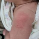 365키즈소아청소년과의원 이미지