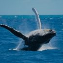 뉴포트비치 이미지