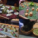 호텔발리3 이미지