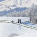 거목유도관 이미지