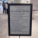 [일상] 치이카와 나만 알고싶어🥲_치이카와 베이비 팝업스토어
