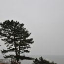 동백정 이미지