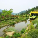 남해-256 Daum카페