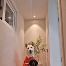 가평실내수영장온수무료펜션A 이미지