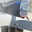 판테온파크골프