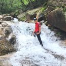 수락산계곡 Daum카페