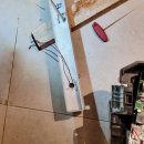 브라운도트 호텔 이미지