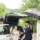 달하우스 이미지