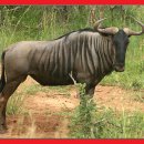 신원덴탈(주) 이미지