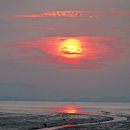 묘한향기 이미지